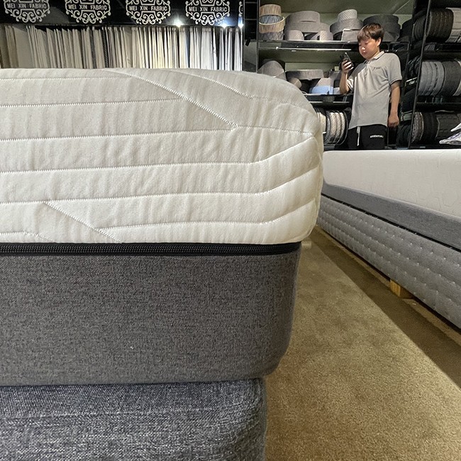 mattress cover  (1)