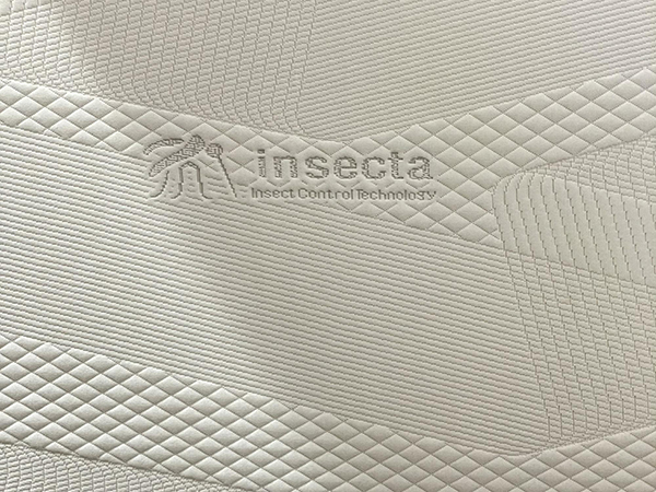 insecta